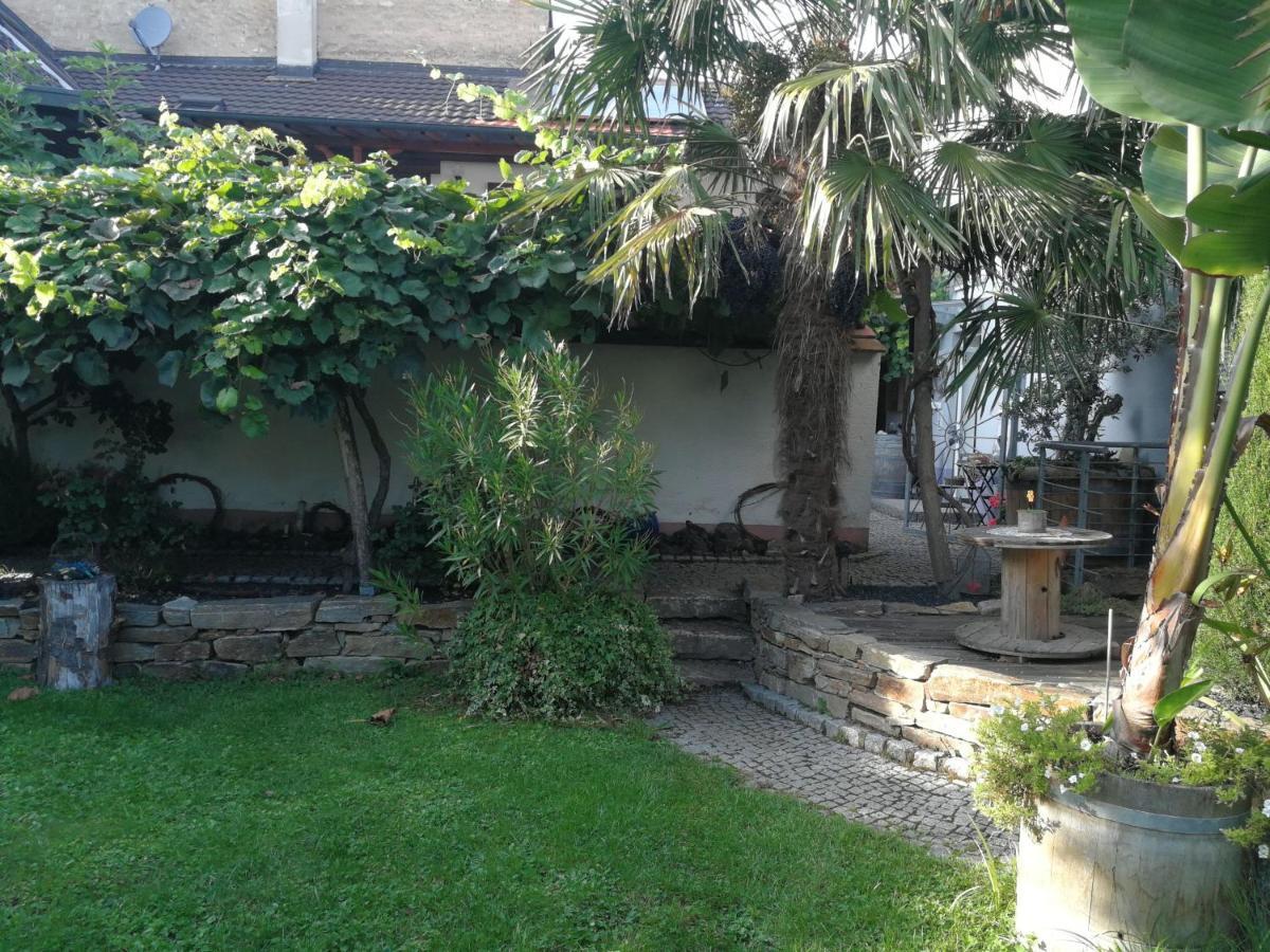 Haus Bienen Bed & Breakfast Ihringen Exterior foto