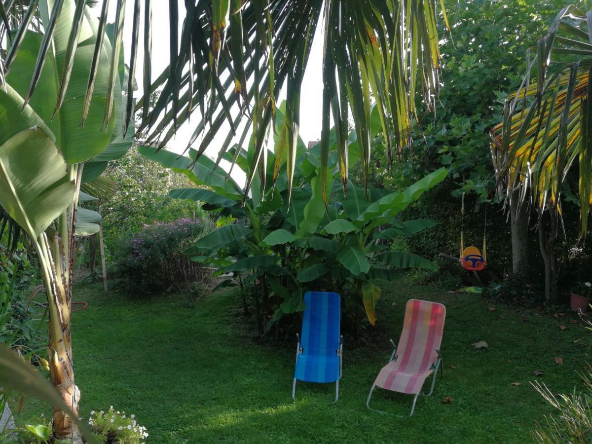 Haus Bienen Bed & Breakfast Ihringen Exterior foto